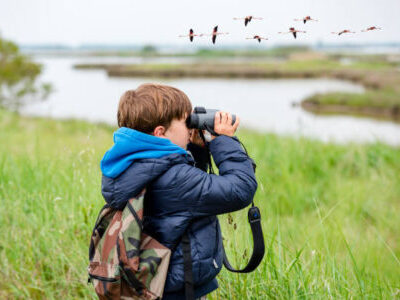 Bird Watching with Grandkids: A Guide to a Memorable Adventure