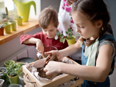 Building a Terrarium with Your Grandchildren: A Fun and Educational Activity