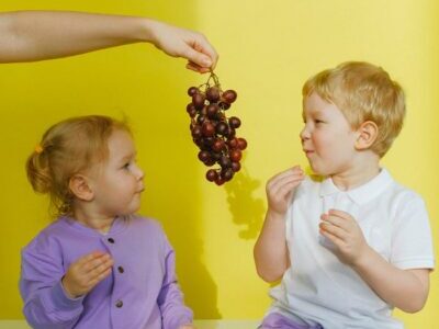 Essential Snacks for Grandkids at Grandma’s House