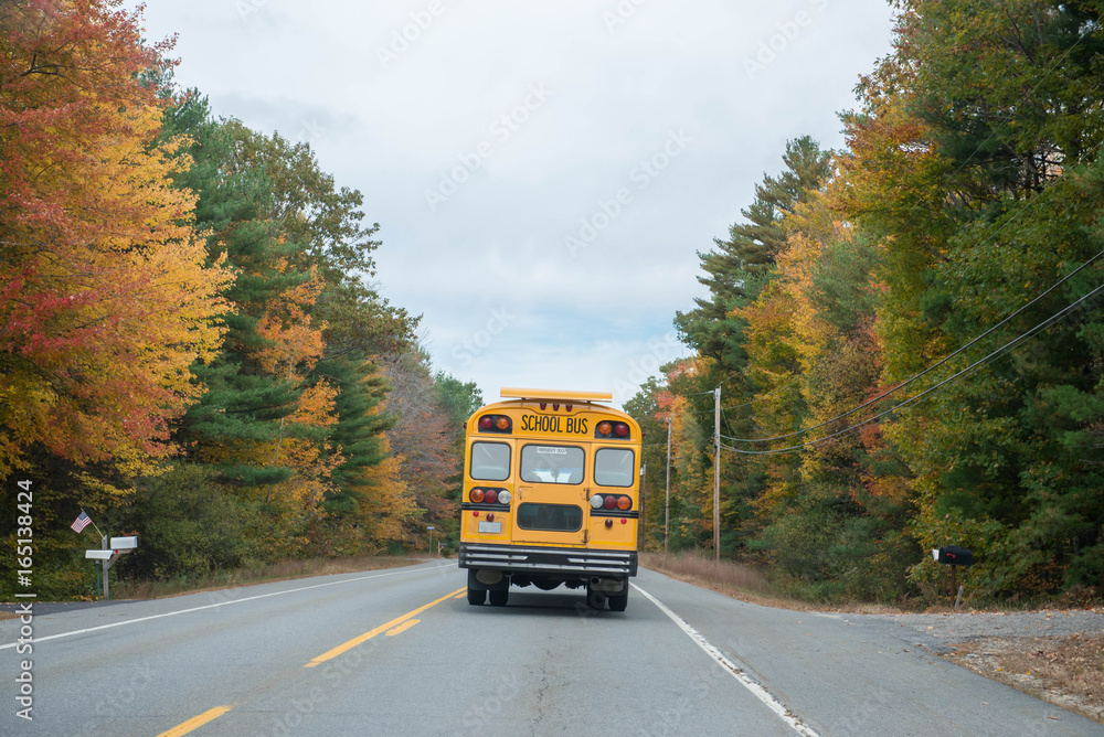 School bus drives down a country road in autumn