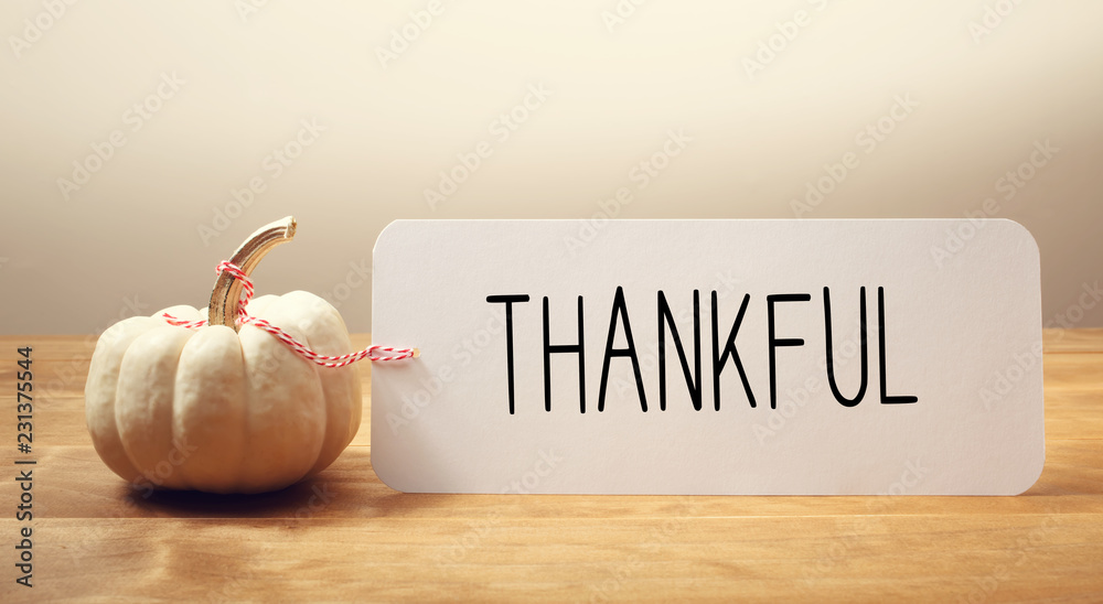 Thankful message with a white small pumpkin